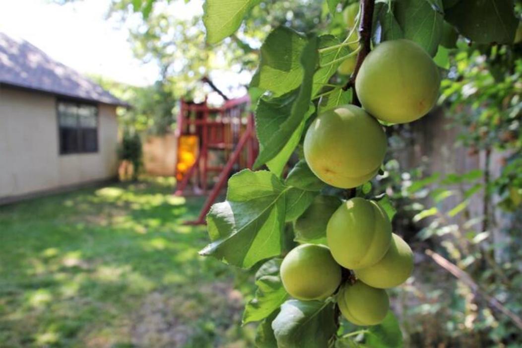 Experience Nirvana With Artwork Collections From Around The Globe Located In Lakewood Neighborhood In Se Boise Next To A Park, Minutes From Bown Crossing And The Boise River, 10 Minutes To Downtown, 4 Beds, Sleeps 8, Pets Welcome In Large Fenced In Y Екстер'єр фото